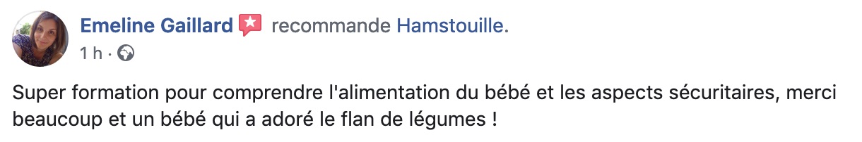 Recommandation cliente des services Hamstouille